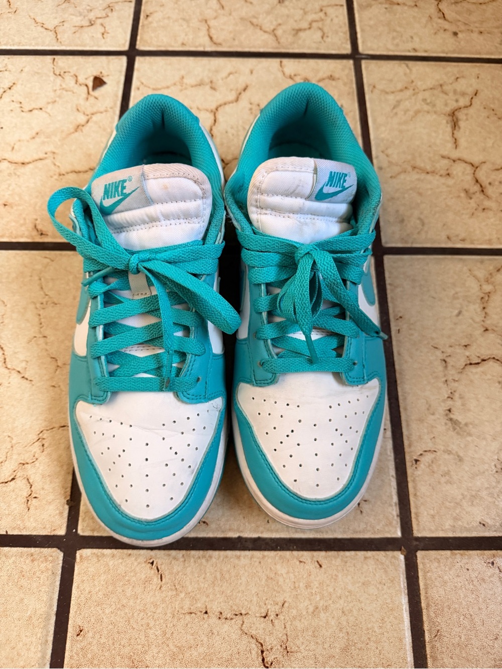 Nike Women's Teal and White Low-Top Sneakers